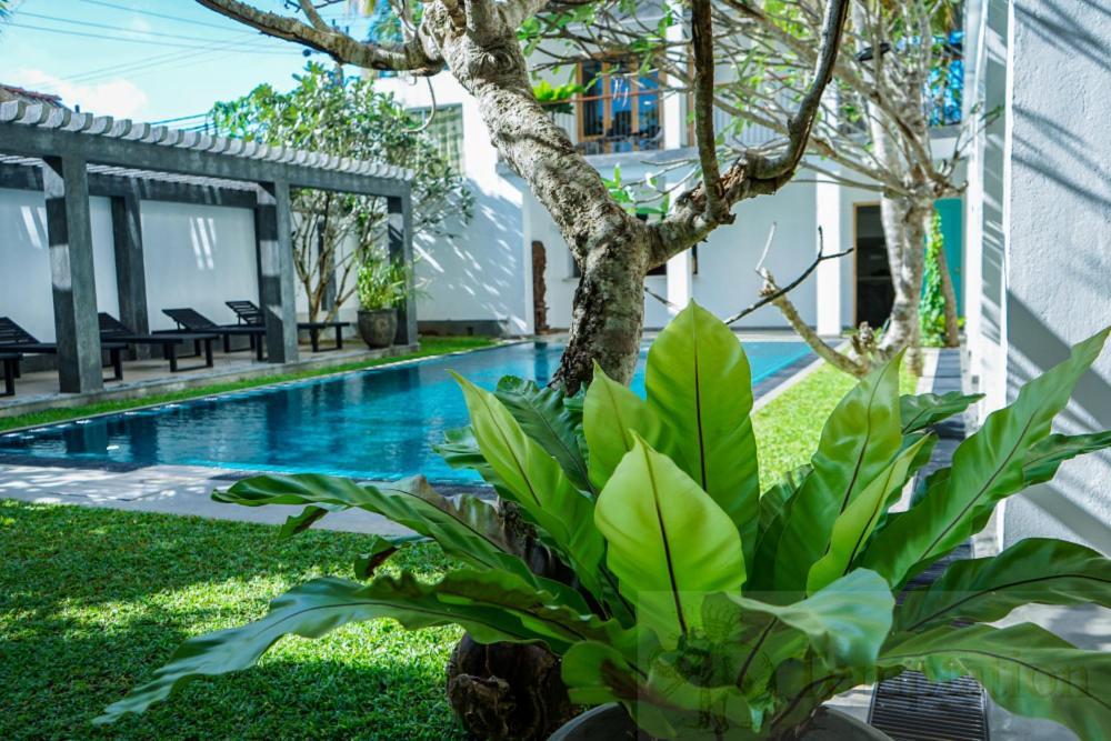Temptation Hikkaduwa Exterior foto